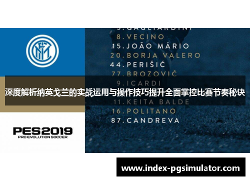 深度解析纳英戈兰的实战运用与操作技巧提升全面掌控比赛节奏秘诀